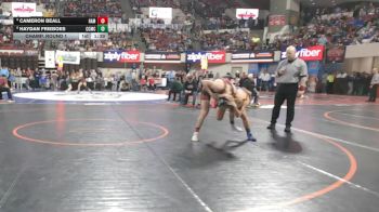 A - 138 lbs Champ. Round 1 - Cameron Beall, Hamilton vs Haydan Frieboes, Custer Co. (Miles City)