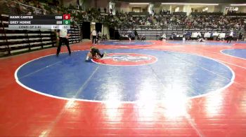 85 lbs Consi Of 8 #2 - Hawk Carter, Commerce Wrestling Club vs Grey Horne, Georgia