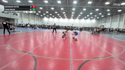 120 lbs Consi Of 64 #2 - Bronson Hayes, TN vs Cole Willis, NY