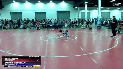 87 lbs Quarters & 1st Wb (16 Team) - Beau Abbott, Georgia vs Santino Pascarella, New York Gold