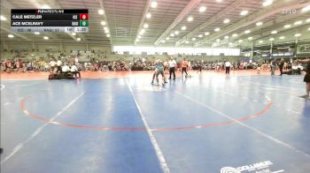 220 lbs Rr Rnd 2 - Cale Metzler, ICE Wrestling Blue vs Ace Mcelravy, Ragin Raisins Concord HS