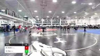 195 lbs Quarterfinal - Ronan Noke, Burlington vs Denis Cha, Arlington