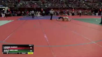 D1-126 lbs Champ. Round 1 - Londen Murphy, Moeller vs Emilio Arellano, Whitmer