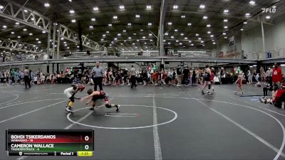 60 lbs Round 3 (4 Team) - Cameron Wallace, Thunderstruck vs Bohdi Tsikerdanos, Warhawks