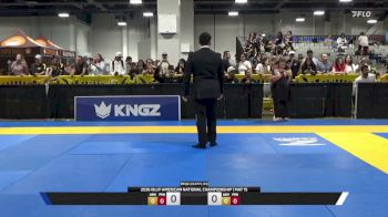 Kingsley Akaiyus Domingo vs Tristan Ryan Stewart 2026 American National IBJJF Jiu-Jitsu Championship