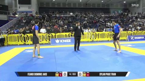 Dylan Phuc Tran vs Feanix Dominic Jaks 2025 Pan IBJJF Jiu-Jitsu No-Gi Championship