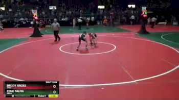 65 lbs Quarterfinal - Brody Gross, GFF2 vs Cole Palma, NBHA