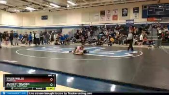 138 lbs Quarterfinal - Tyler Wells, Princeton vs Jarrett Wadsen, St. Michael-Albertville