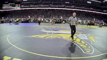 D1-132 lbs Quarterfinal - Conor Mc Alary, Hudsonville HS vs Chase Beall, Oxford HS