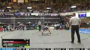 120 lbs Cons. Round 1 - Dominic Davis, Lyons vs Cody Hewins, Wathena-Riverside