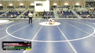 157 lbs Cons. Round 2 - Justin Ritchie, Baldwin Wallace vs Anton Esterbrook, Pennsylvania College Of Technology