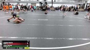 72 lbs Round 2 (6 Team) - Jaxon Holtz, POWA vs Cole Palma, Team Ohio