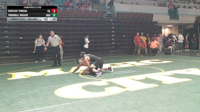138 lbs Quarterfinal - Shiloh Tindal, Pelion vs Terrell Wood, Eau Claire