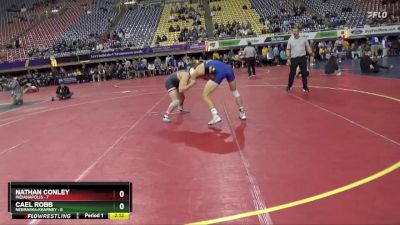 157 lbs Round 1 (16 Team) - Cael Robb, Nebraska-Kearney vs Nathan Conley, Indianapolis