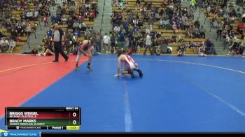 125 lbs Quarterfinal - Briggs Weigel, Belmont-Platteville vs Brady Marks, Askren Wrestling Academy