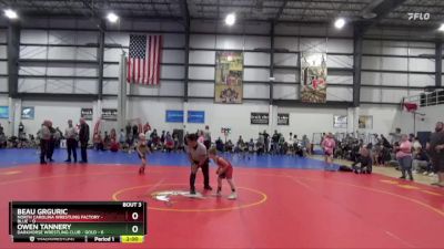 50 lbs Round 2 (4 Team) - Owen Tannery, DARKHORSE WRESTLING CLUB - GOLD vs Beau Grguric, NORTH CAROLINA WRESTLING FACTORY - BLUE