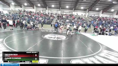 215 lbs Champ. Round 1 - Parker Elswood, Lehi vs Treyson Rich, Morgan