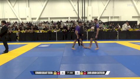 Zahir Abram Castrejon vs Bernardo Goulart Teixeira 2024 World IBJJF Jiu-Jitsu No-Gi Championship