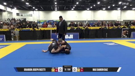 Max Damion Diaz vs Brandon Joseph Ricetti 2025 World IBJJF Jiu-Jitsu No-Gi Championship