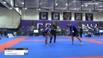 Dominic Mejia vs Ian Cole Weingaer 2019 Pan IBJJF Jiu-Jitsu No-Gi Championship