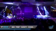 Mini - Prep - Variety - Cohesion [2022 Dance Force Studios Day 1] 2022 GLCC Schaumburg Grand Nationals