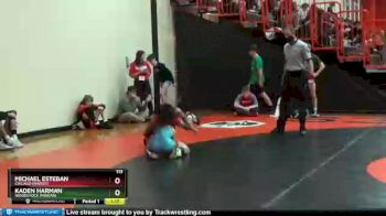 113 lbs Champ. Round 2 - Michael Esteban, Chicago (MARIST) vs Kaden Harman, Woodstock (MARIAN)