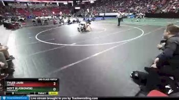 D1-138 lbs 3rd Place Match - Tyler Jahn, Holmen vs Hoyt Blaskowski, Marshfield