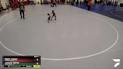 45 lbs Semis (4 Team) - Carson Defoe, Little Falls vs Mikey Ahedo, LPGE/B Wolves