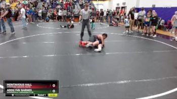 Round 3 - Addilynn Barnes, Summerville Takedown Club vs Montavious Hall, Stratford Knights Youth