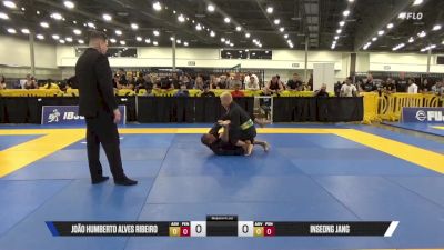 João Humberto Alves Ribeiro vs Inseong Jang 2025 World Master IBJJF Jiu-Jitsu Championship
