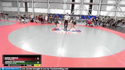 105 lbs Cons. Round 4 - Adrian Valdovinos, Toppenish USA WC vs David Wiehle, Mat Demon WC