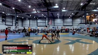 100 lbs Semifinal - Ethan Halstead, Darkhorse Wrestling vs Xavier Bernthal, New Bern