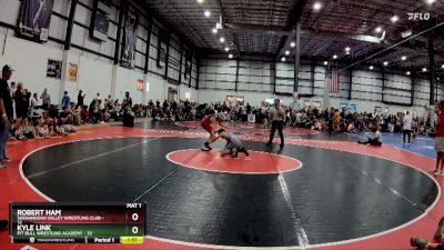 95 lbs Round 5 (6 Team) - Kyle Link, PIT BULL WRESTLING ACADEMY vs Robert Ham, SHENANDOAH VALLEY WRESTLING CLUB