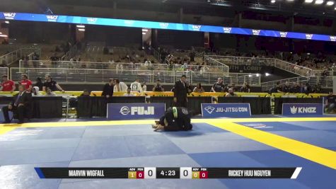 Rickey Huu Nguyen vs Marvin Wigfall 2025 Pan Jiu Jitsu IBJJF Championship