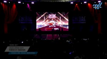 Stars Vipers Katy - Fierce Fangs [2024 L1 Mini - Novice - Restrictions Day 1] 2024 Encore Grand Nationals