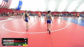 97-99 lbs Round 3 - Ashton Harcey, Cambridge-Isanti vs Jake Rodriguez, Brainerd Warriors