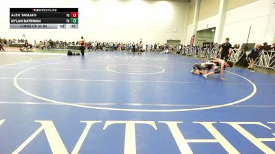 138 lbs Consi Of 64 #2 - Alex Tagliati, PA vs Dylan Bateman, PA