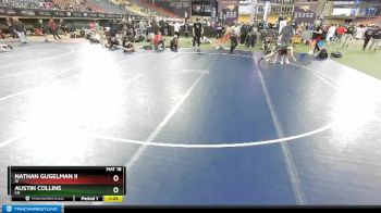 120 lbs Quarterfinal - Nathan Gugelman Ii, ID vs Austin Collins, CO