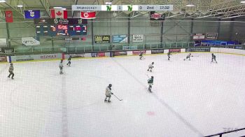 Replay: Home - 2025 CNHA Gold U13 vs CNHA Green U13 | Jan 5 @ 12 PM