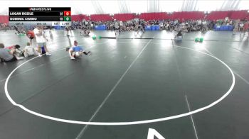113 lbs Semis & Wb (16 Team) - Logan Bozile, Oconto Falls vs Dominic Cimino, Vernon Hills