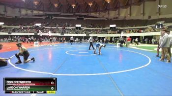 National 6-8 100 Cons. Round 2 - Finn Defendeifer, Poquoson Athletic Association vs Landon Warren, Hickory Wrestling Club