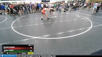 126 lbs Cons. Round 8 - Roen Carey, WI vs Elijah Banks, CO