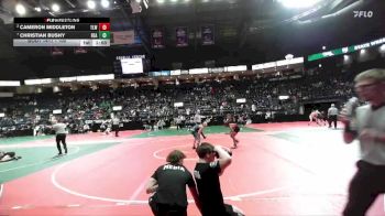 100 lbs Quarterfinal - Christian Bushy, BEASTA vs Cameron Middleton, TLWA