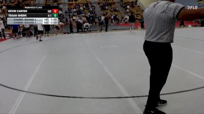 133 lbs Champ. Round 1 - Tegan Sherk, Iowa Central Community College vs Devin Carter, Southwest State