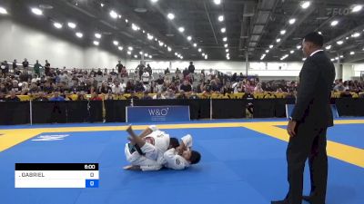 GABRIEL L. CLARITO vs EDMUND LI 2024 World Masters IBJJF Jiu-Jitsu Championship