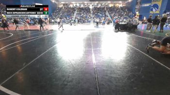 132 lbs Champ. Round 1 - Nick DiFrancescantonio, Hanover Park vs Robert Coleman, Brooke Point