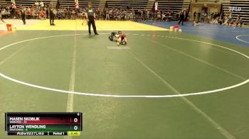 84 lbs Semis & 1st Wrestleback (8 Team) - Masen Skoblik, Wabasso vs Layton Wendling, Owatonna