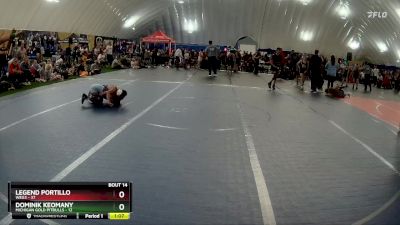 84 lbs Round 5 (6 Team) - Legend Portillo, WEG3 vs Dominik Keomany, Michigan Gold Pitbulls