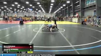 96 lbs Round 1 - Kamdyn Borrero, PA Gold vs Blu Stephens, VA Hammers