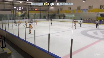 Replay: Home - 2024 Sting U12 vs Hamilton U12 | Nov 29 @ 3 PM